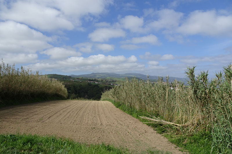 %_tempFileNameDSC03448%