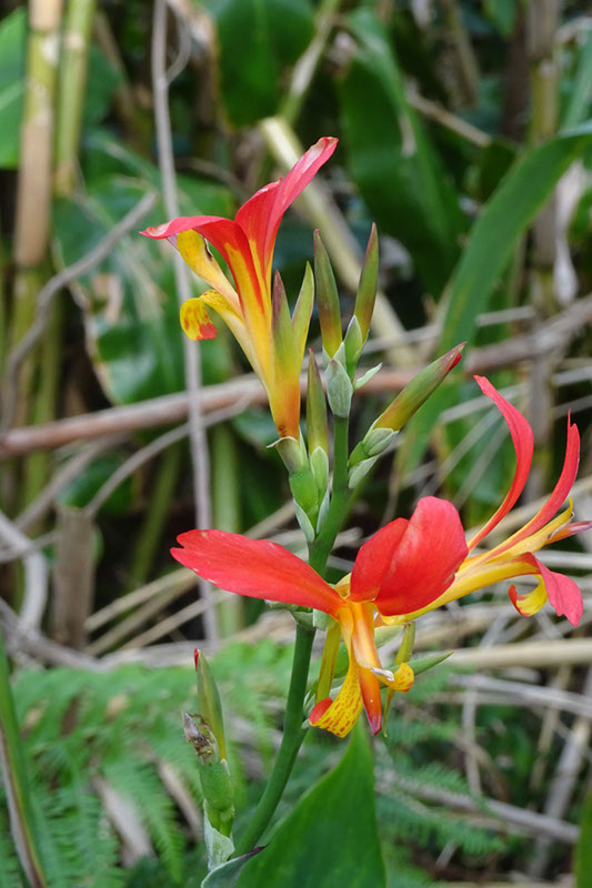 %_tempFileNameDSC03456%