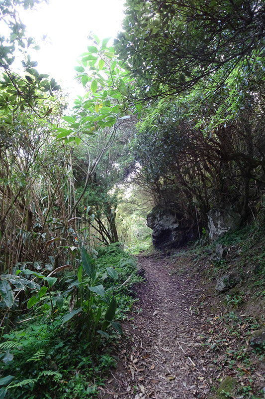 %_tempFileNameDSC03457%