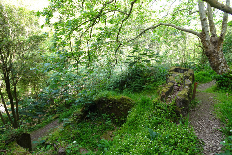 %_tempFileNameDSC03458%