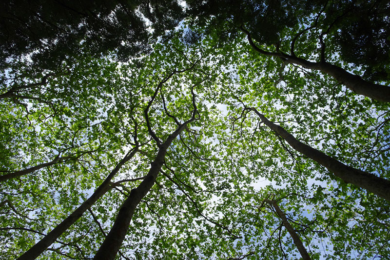 %_tempFileNameDSC03459%