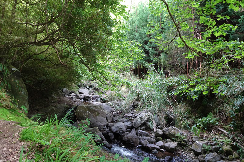 %_tempFileNameDSC03462%