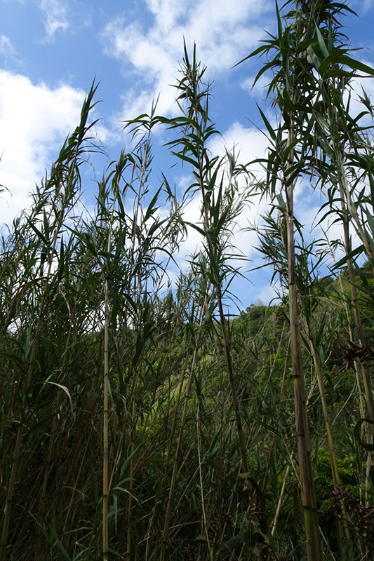 %_tempFileNameDSC03469%