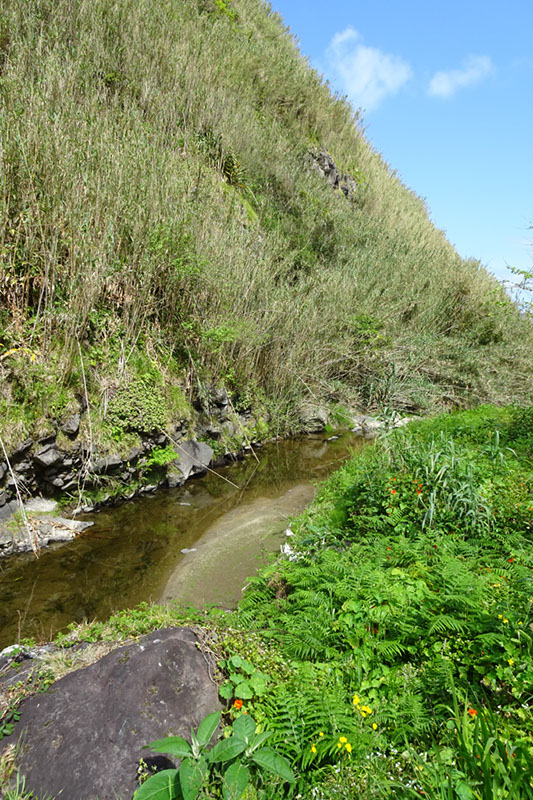 %_tempFileNameDSC03482%