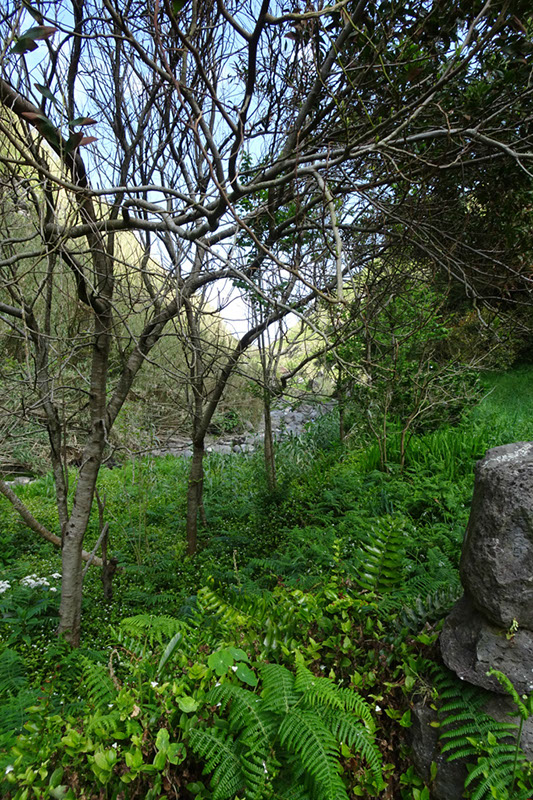 %_tempFileNameDSC03486%