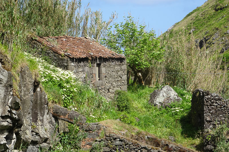 %_tempFileNameDSC03493%