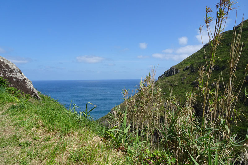 %_tempFileNameDSC03499%