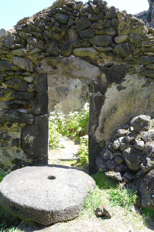 %_tempFileNameDSC03522%