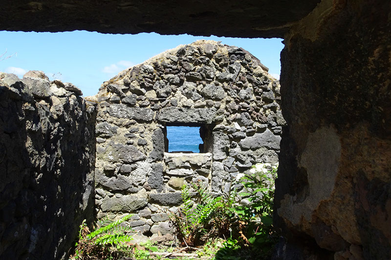 %_tempFileNameDSC03524%