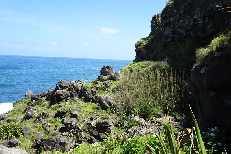 %_tempFileNameDSC03527%