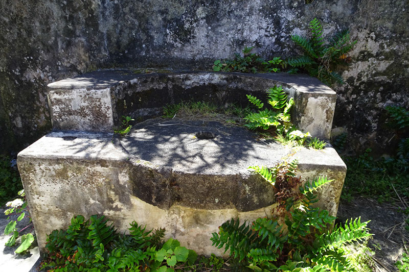 %_tempFileNameDSC03550%