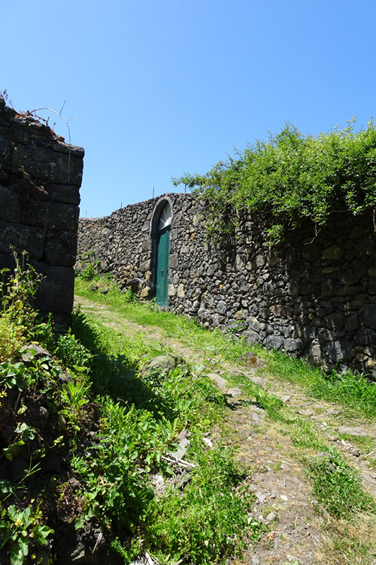 %_tempFileNameDSC03555%