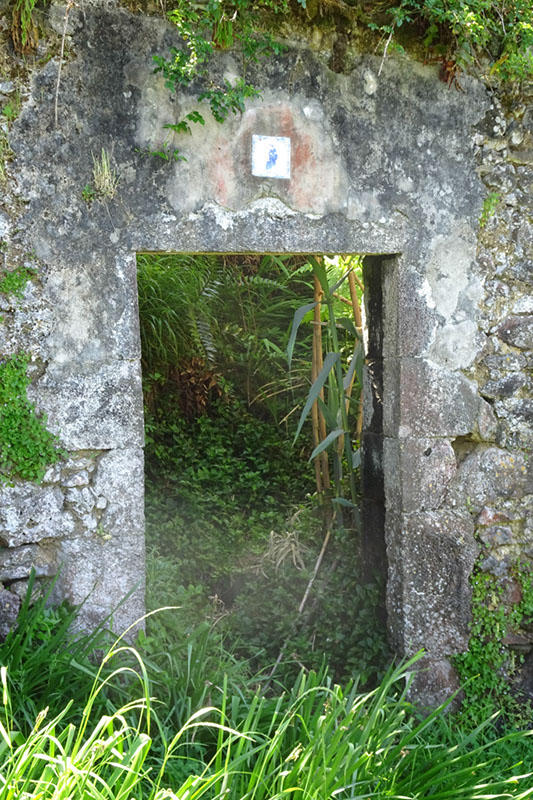 %_tempFileNameDSC03562%