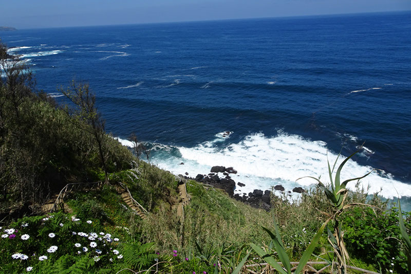 %_tempFileNameDSC03566%