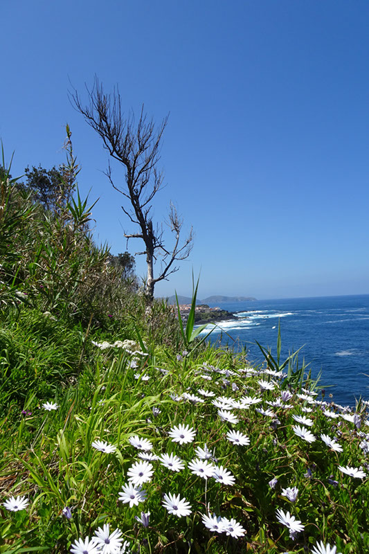 %_tempFileNameDSC03578%