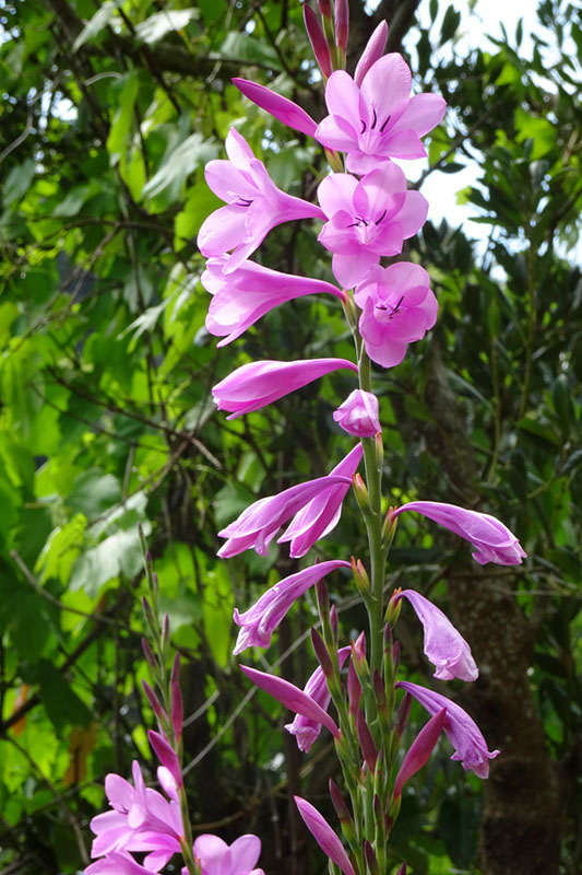 %_tempFileNameDSC03614%