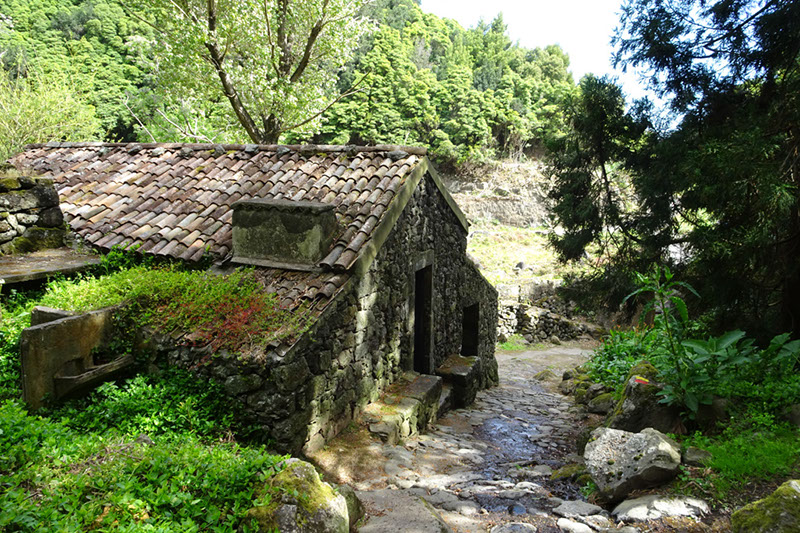 %_tempFileNameDSC03621%