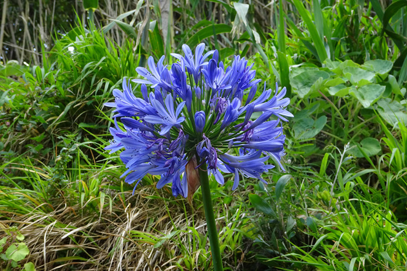 %_tempFileNameDSC03635%