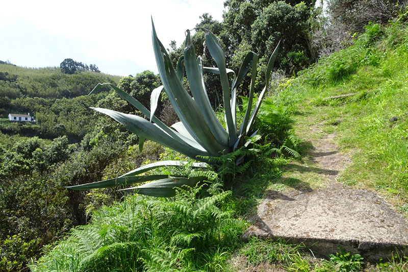 %_tempFileNameDSC03658%