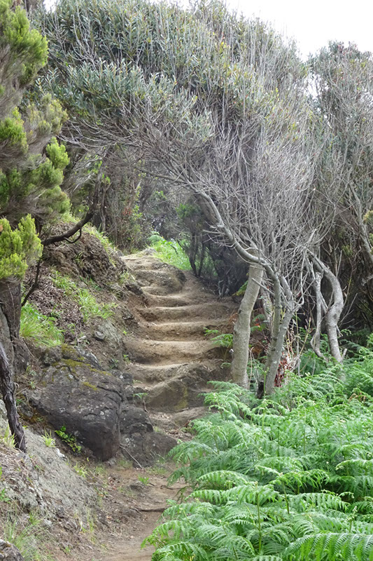 %_tempFileNameDSC03674%