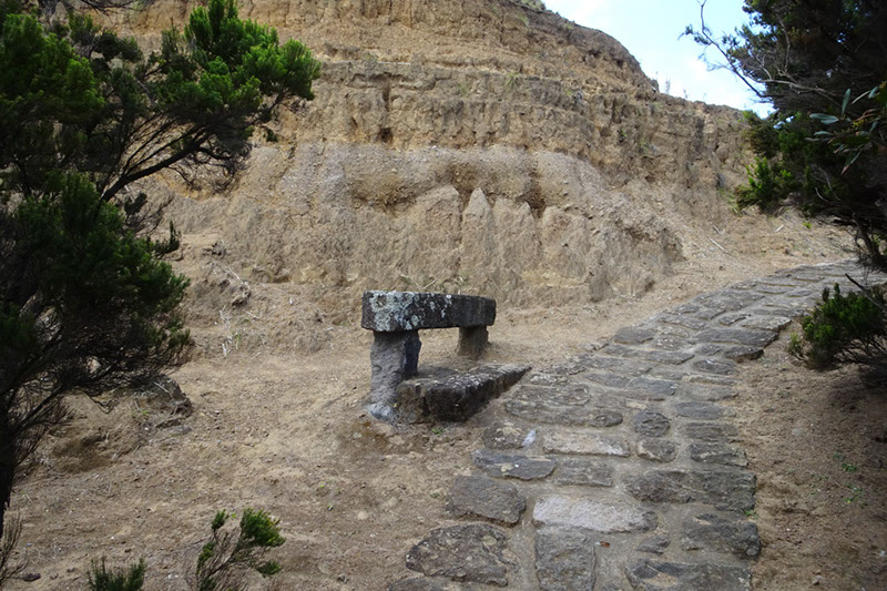 %_tempFileNameDSC03684%