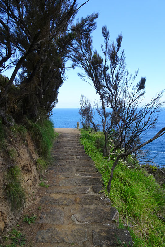 %_tempFileNameDSC03685%