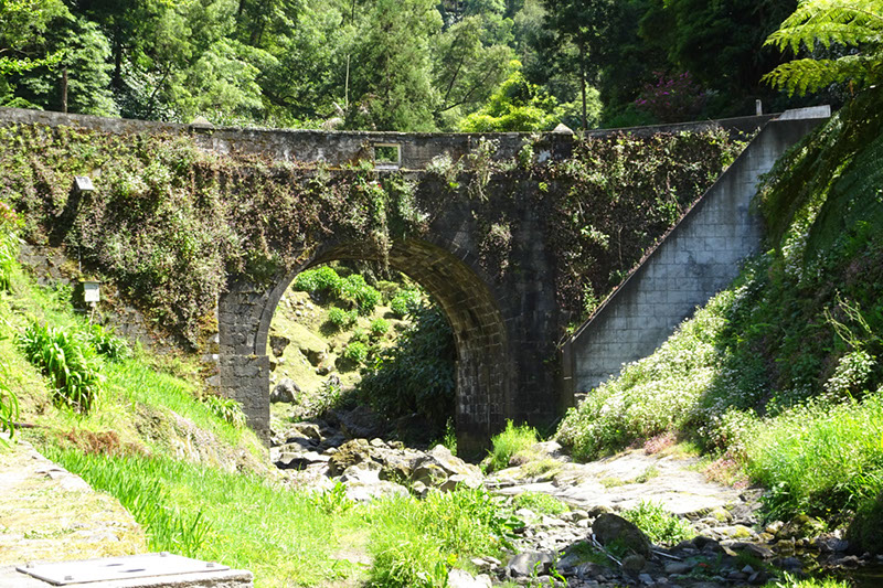 %_tempFileNameDSC03709%