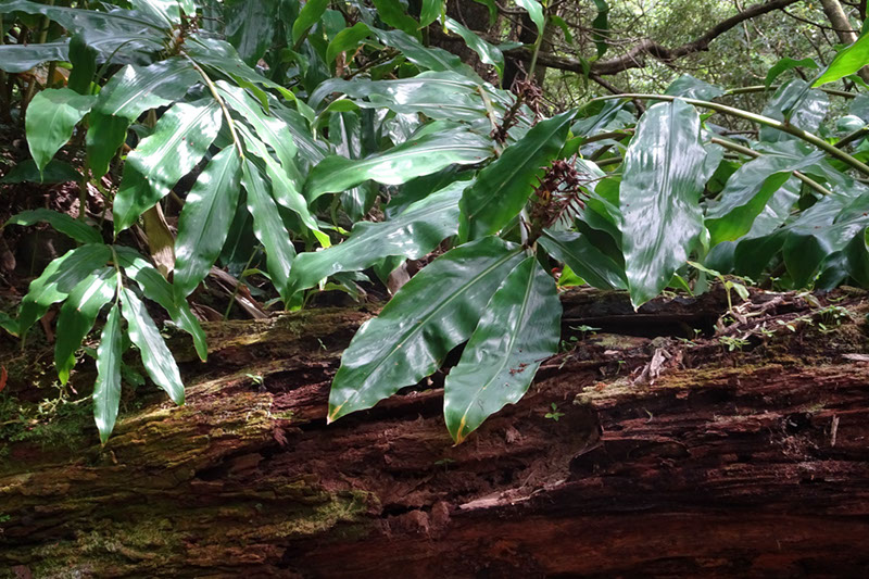 %_tempFileNameDSC03742%