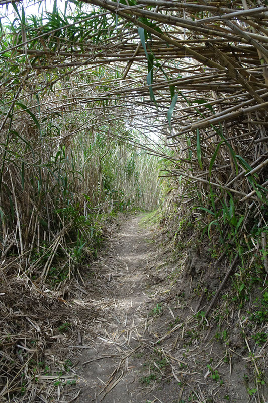 %_tempFileNameDSC03749%