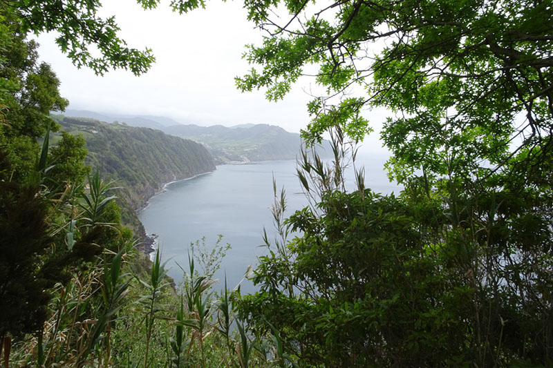 %_tempFileNameDSC03754%