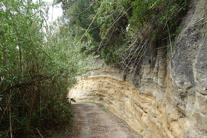 %_tempFileNameDSC03758%