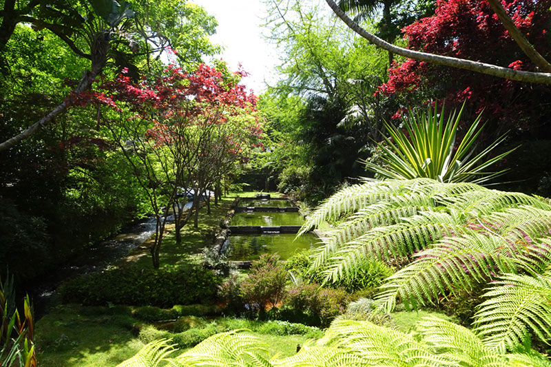 %_tempFileNameDSC03784%