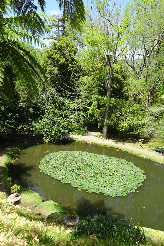 %_tempFileNameDSC03798%