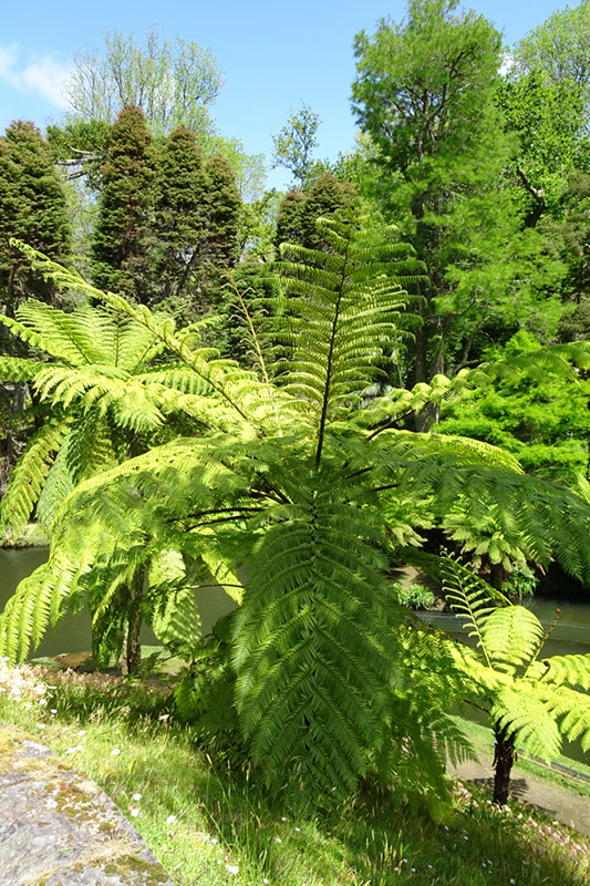 %_tempFileNameDSC03799%