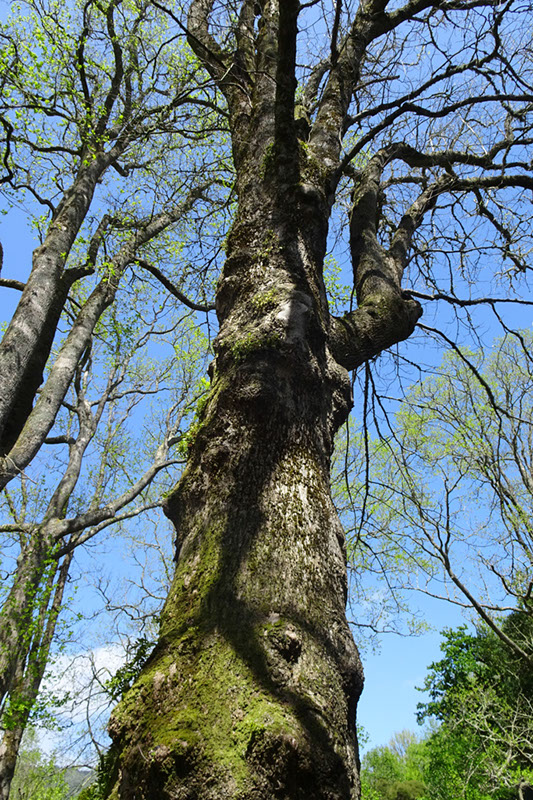 %_tempFileNameDSC03804%