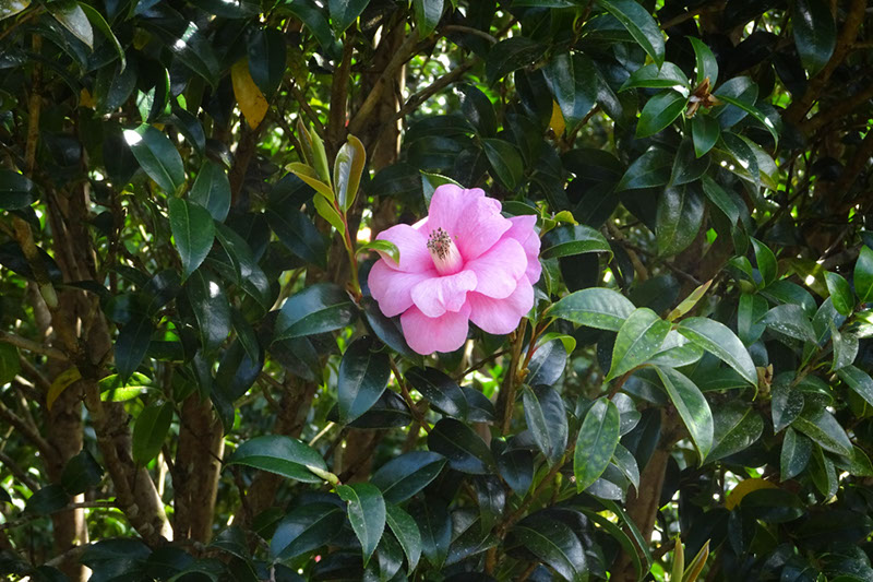 %_tempFileNameDSC03822%