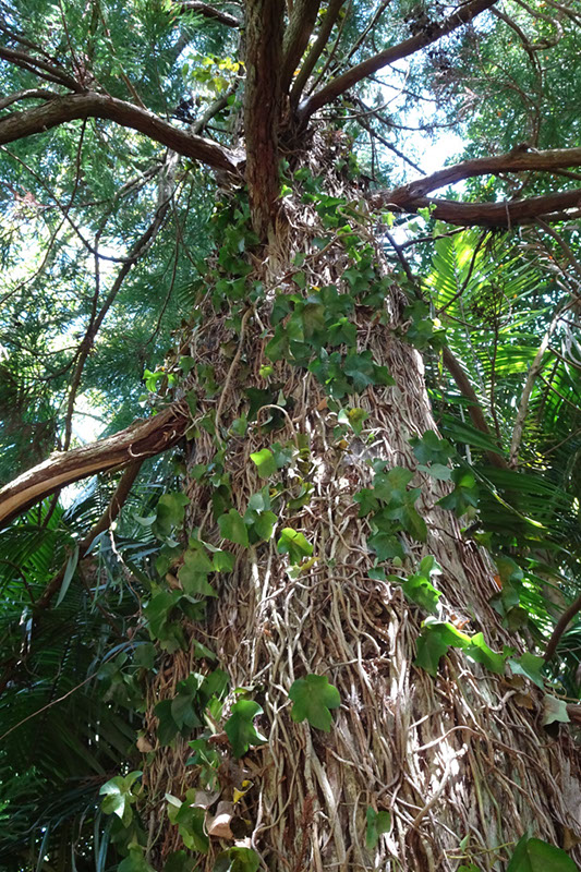 %_tempFileNameDSC03833%