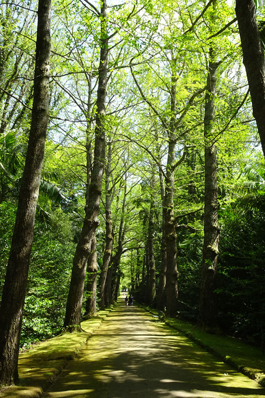 %_tempFileNameDSC03835%