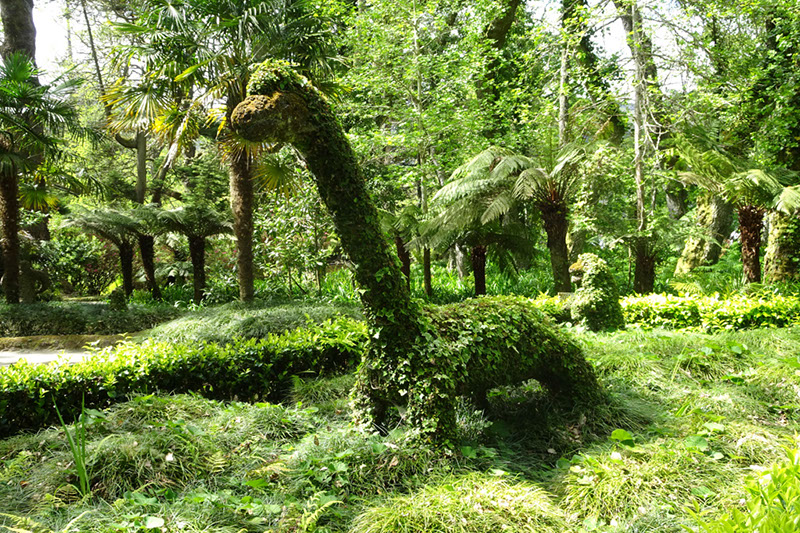 %_tempFileNameDSC03845%