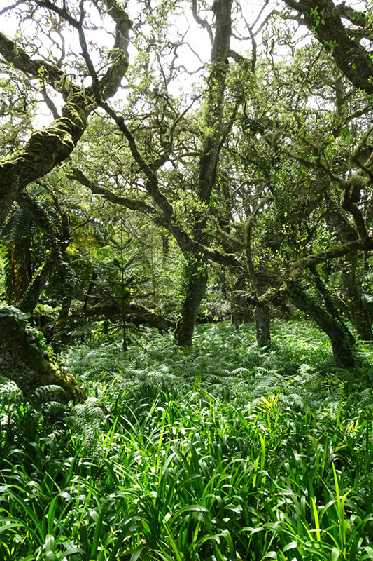 %_tempFileNameDSC03853%