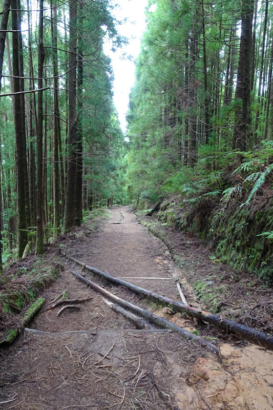 %_tempFileNameDSC03868%