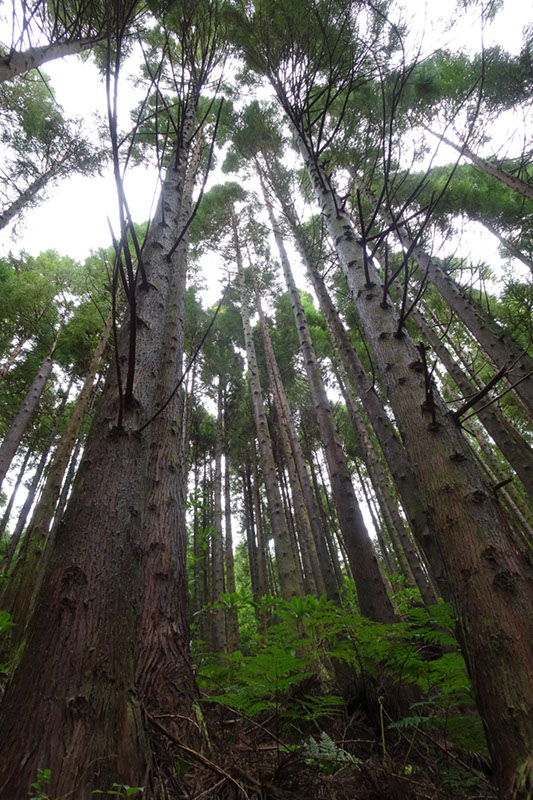 %_tempFileNameDSC03874%