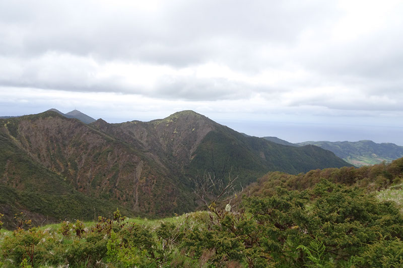 %_tempFileNameDSC03898%