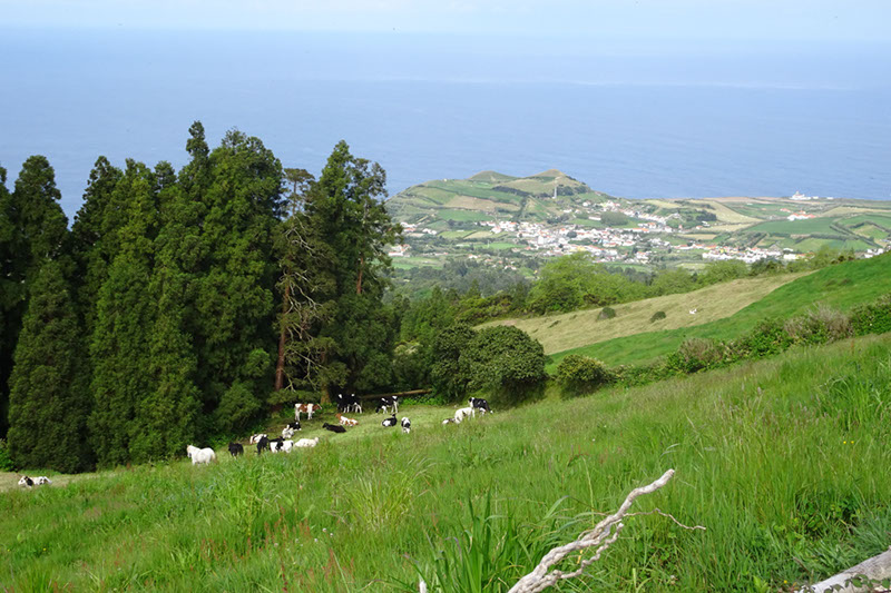 %_tempFileNameDSC03973%