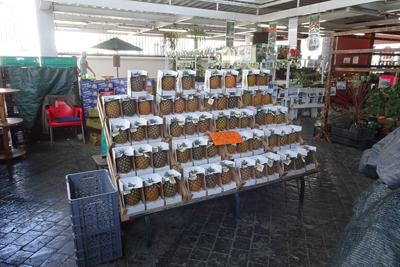 %_tempFileNameDSC04098%