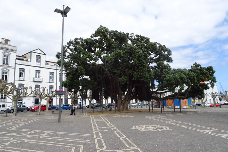 %_tempFileNameDSC04117%