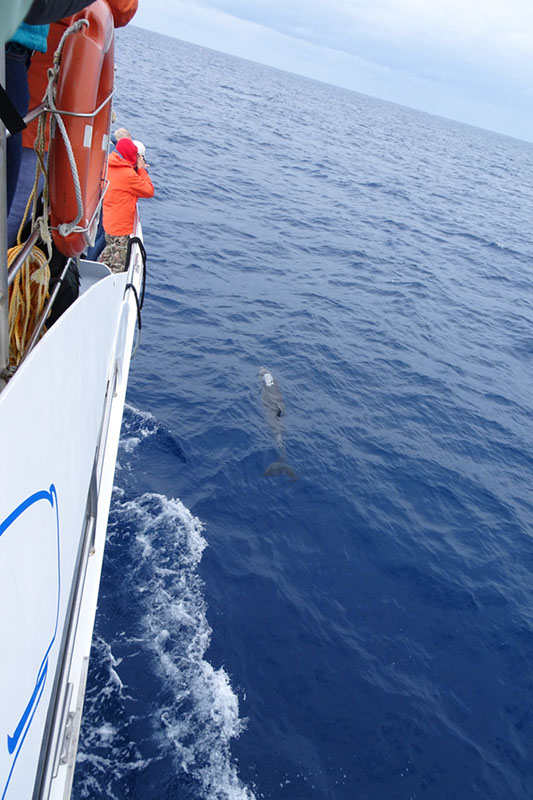 %_tempFileNameDSC04056%