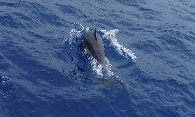 %_tempFileNameDSC04057%