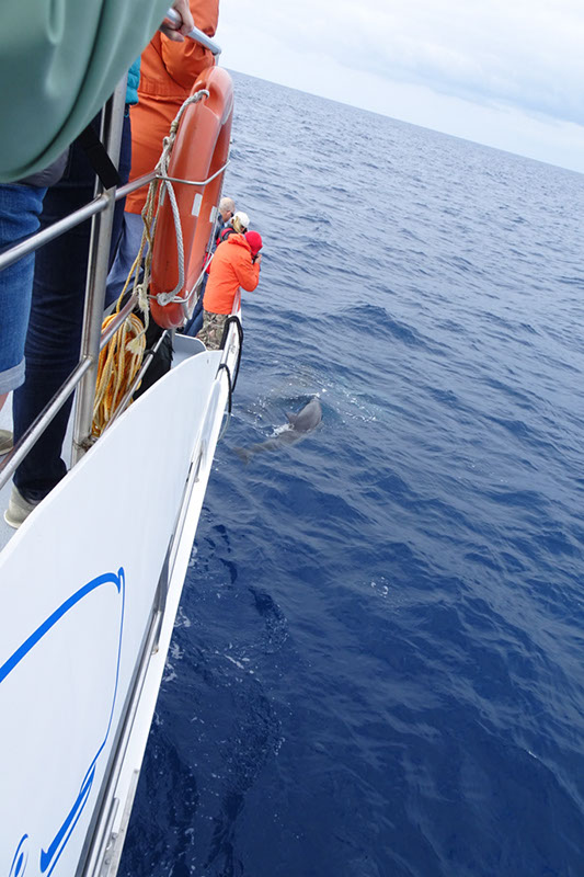 %_tempFileNameDSC04061%