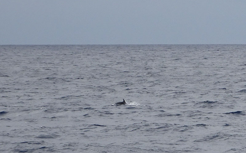 %_tempFileNameDSC04068%